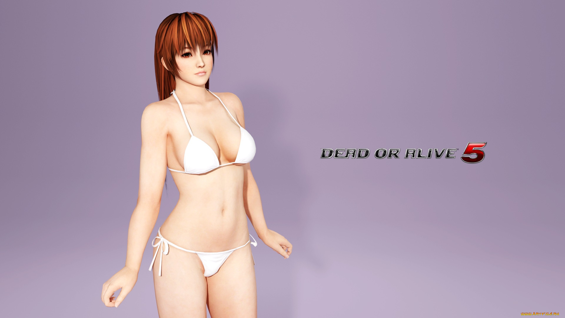  , dead or alive 5, , , 